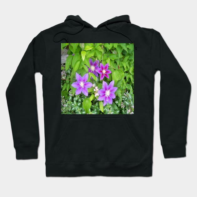 Clematis Hoodie by Jujucreation